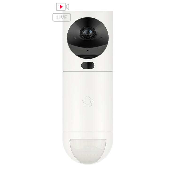 Vídeo Detector Securitas Direct